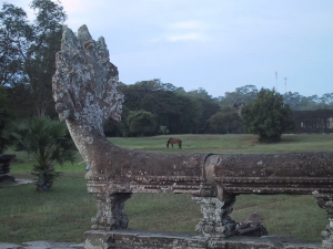 Angkor Wat Horse Pony