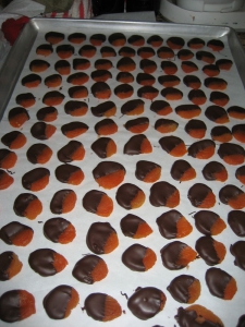 Chocolate-dipped Apricots