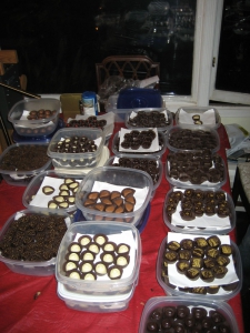Half the Cupped Chocolates