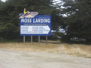 Moss Landing