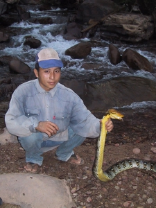 Caught 10-foot Python