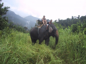 Tien on an Elephant