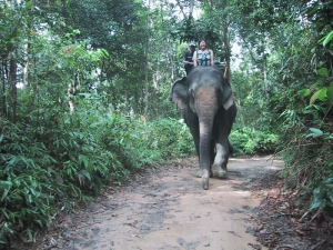 Tien on an Elephant