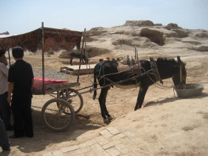 Gaochang Donkey Cart
