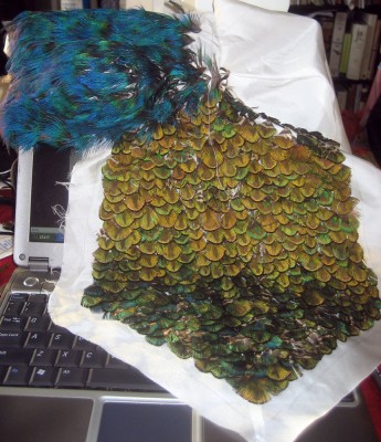partly finished front of my peacock feather tutu