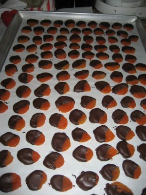 Dried apricots dipped in Valrhona chocolate
