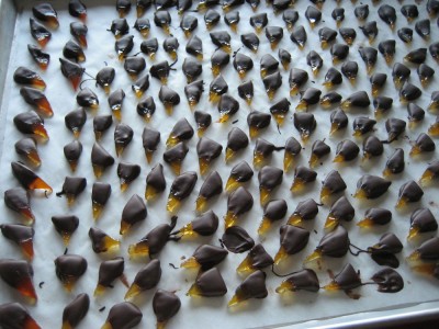 Candied bergamot peel dipped in chocolate
