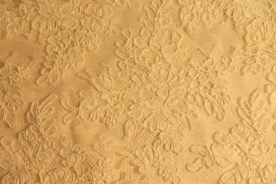 Lace on the wedding-dress fabric