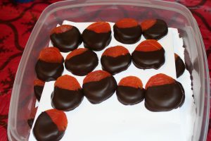 Chocolate covered apricots