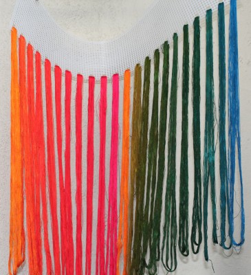 freshly rinsed dye samples, hanging to dry