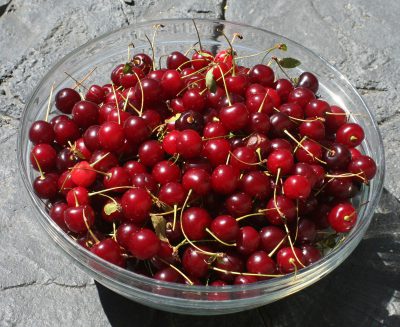 Bowl of sour cherries