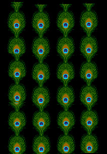 Photoshop simulation of peacock feather design