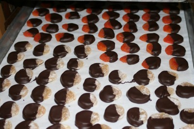 Chocolate covered dried apricots and candied ginger slices