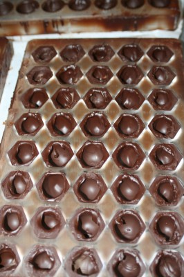 A correctly cast chocolate mold.  The color is even, with no streaks, and the chocolate is glossy and releases cleanly from the mold.