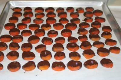 Chocolate covered apricots. This batch "set" incorrectly so I will do another batch of chocolate-dipped apricots today.