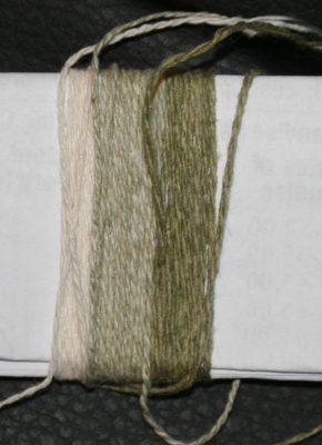 natural, sage, and olive colorgrown cotton yarns, after simmering in soap and soda ash solution