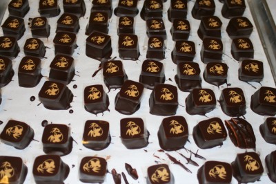 Sesame gianduja, on a base of dark chocolate mixed with sesame croquant, with pandas on top!