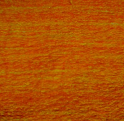 chenille-dominant side of flame fabric