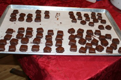 a four-flavor tray of chocolates
