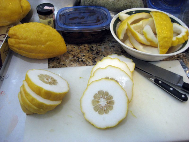 an Etrog citron