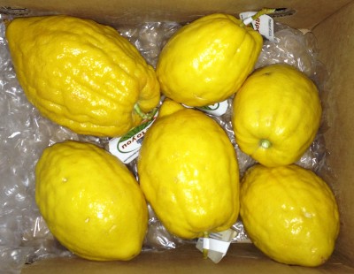 box of citrons!