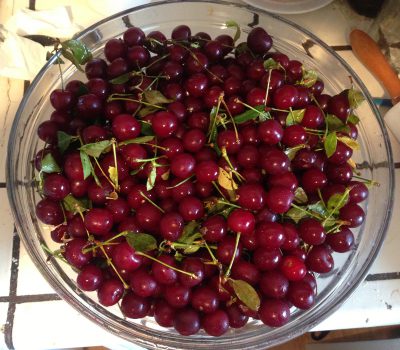 six pounds of sour cherries!