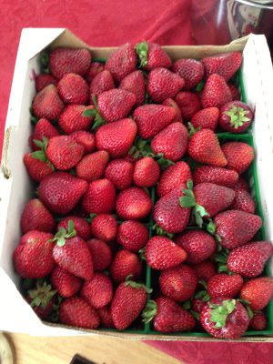 Albion strawberries