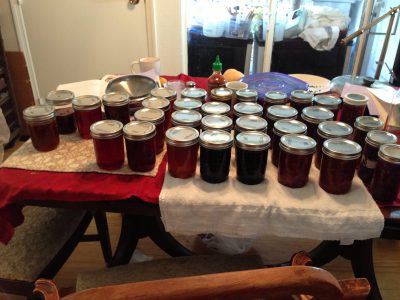 31 pints of jam, marmalade, and jelly!