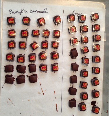 finished pumpkin and ginger chocolates