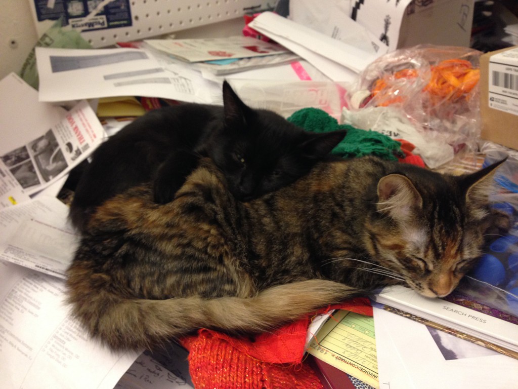 Fritz and Tigress, cuddled up and sleeping on my worktable