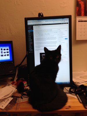 Fritz, helpfully sitting in front of my monitor