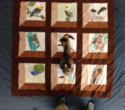 quilt top, with cat