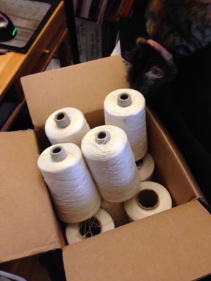 Tigress inspecting 11 lbs of 30/2 silk yarn