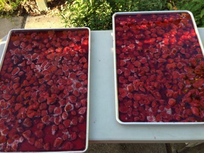 strawberry preserves in sheet pans