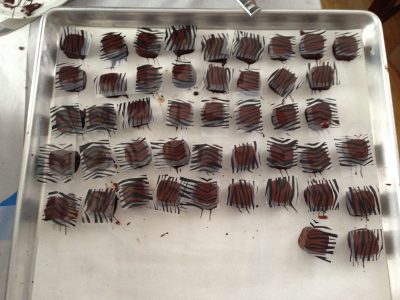 45 freshly dipped chocolates