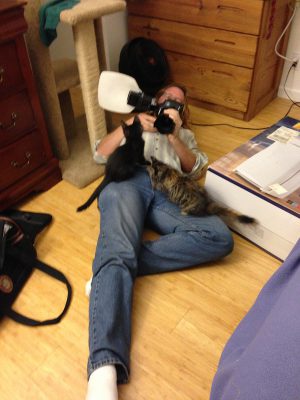 October 3 - kittens attacking the photographer!