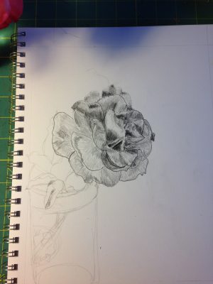 2nd rose sketch