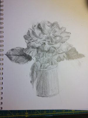 3rd rose sketch