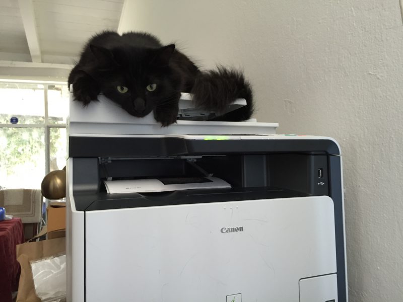 Fritz lurking on the printer