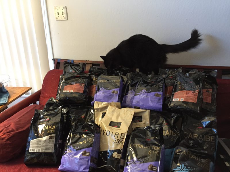 138 pounds of chocolate - cat added for scale