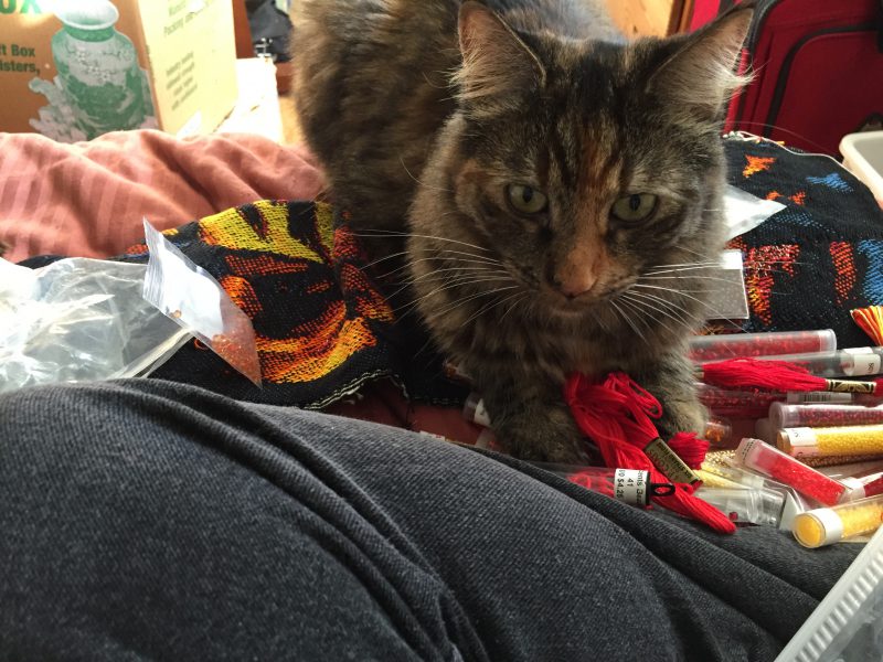 Tigress "helping" with the embellishments