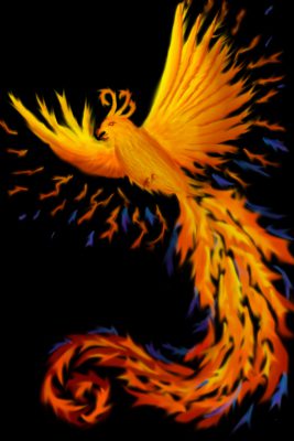 phoenix rising from a (not yet drawn) cremation urn