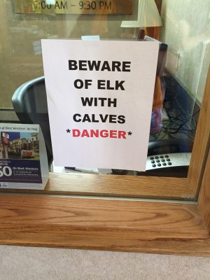 sign "beware of elk"