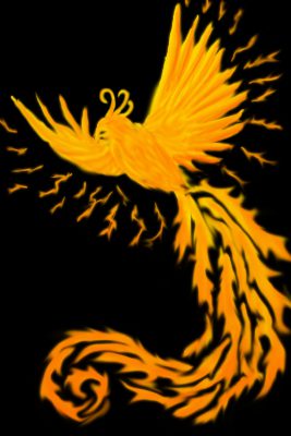 initial development of phoenix drawing