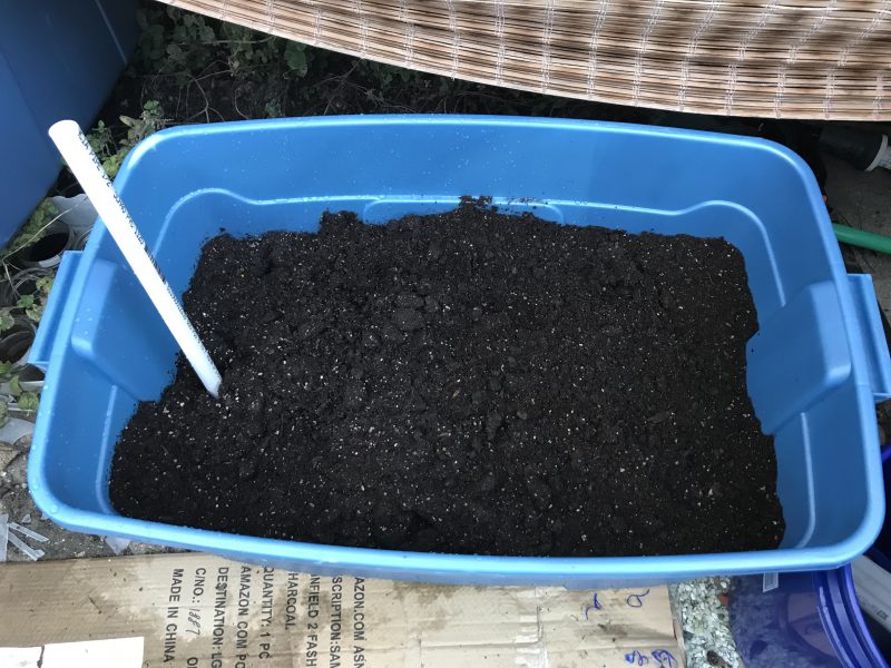 self-watering container test