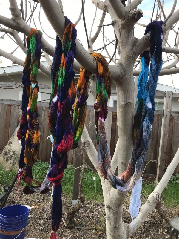 painted warp hung to dry in the fig tree