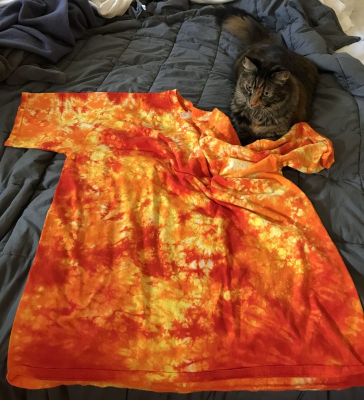 photo of fiery-colored T-shirt with a photobombing cat (Tigress)