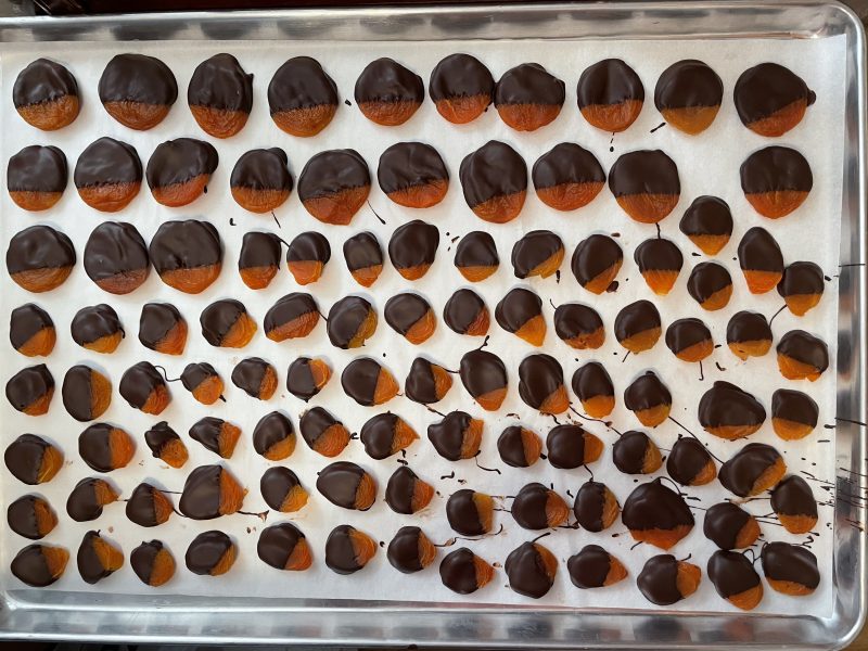 chocolate covered dried apricots