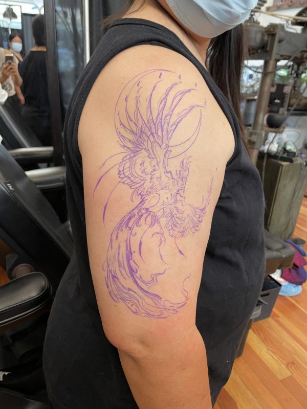 purple phoenix stencil ready for tattooing