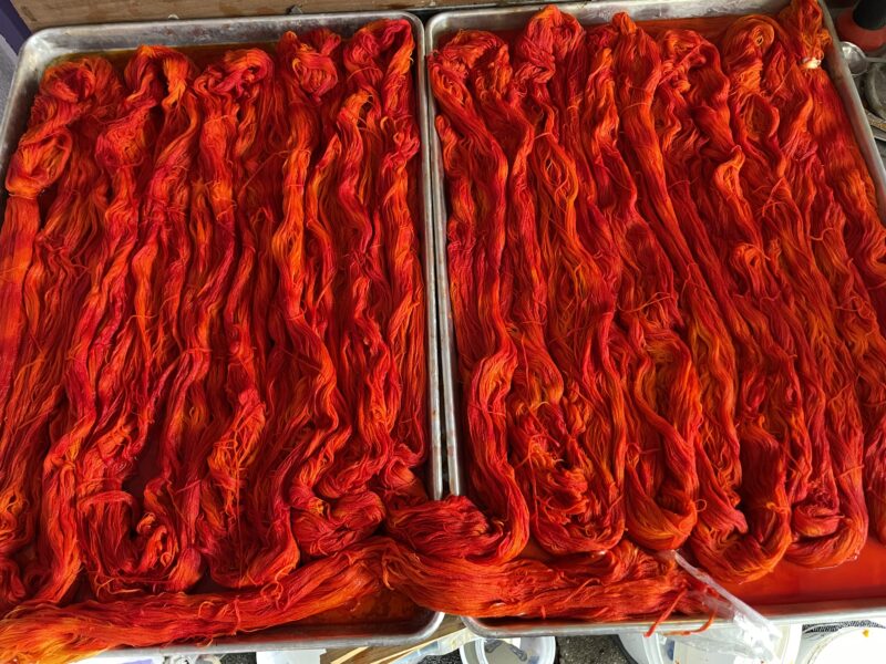warp being dyed in sheet pans